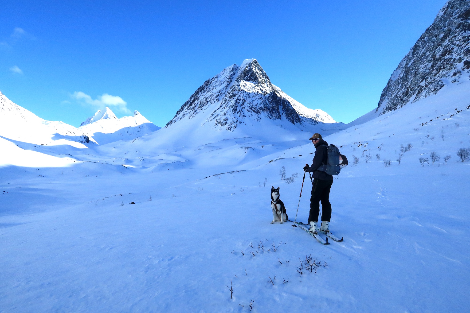 Ellendalen, skil&oslash;per p&aring; fjelltur med hund