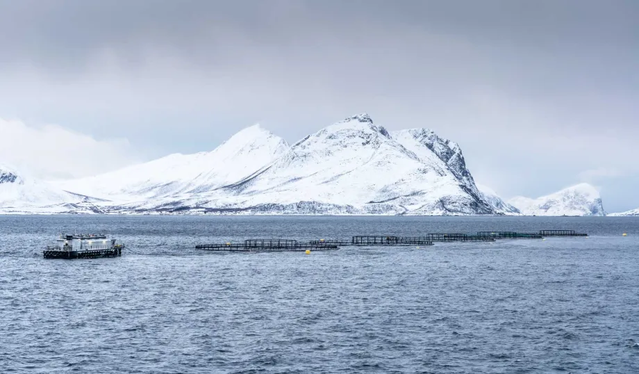 Anlegg for fiskeoppdrett til havs