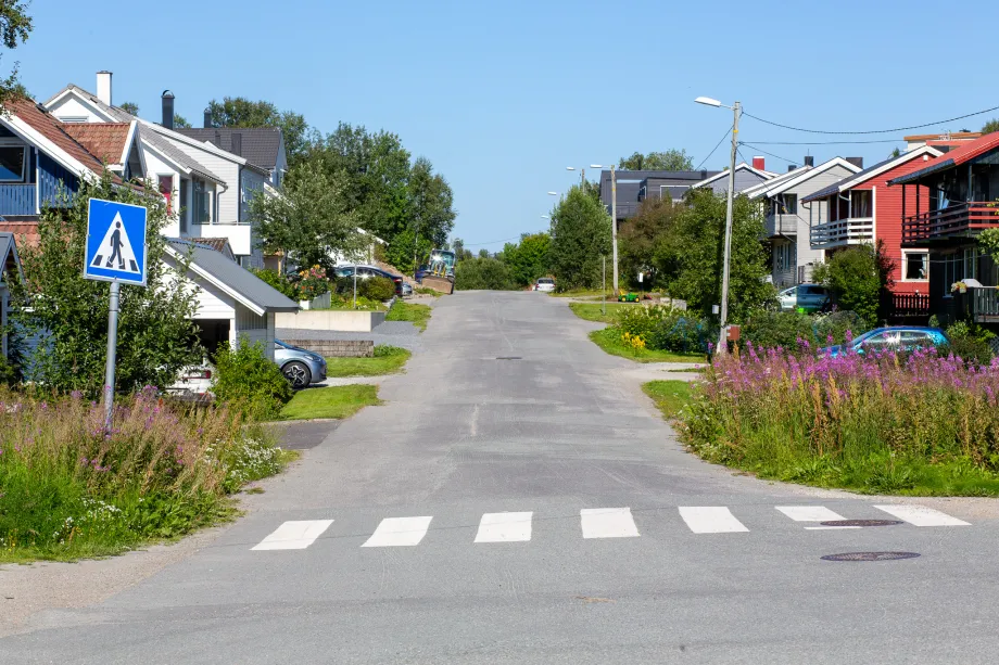 Viser vei i Biskop Berggravsgate