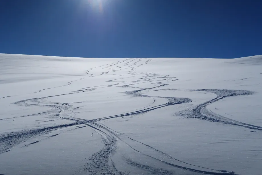 Skispor i snø