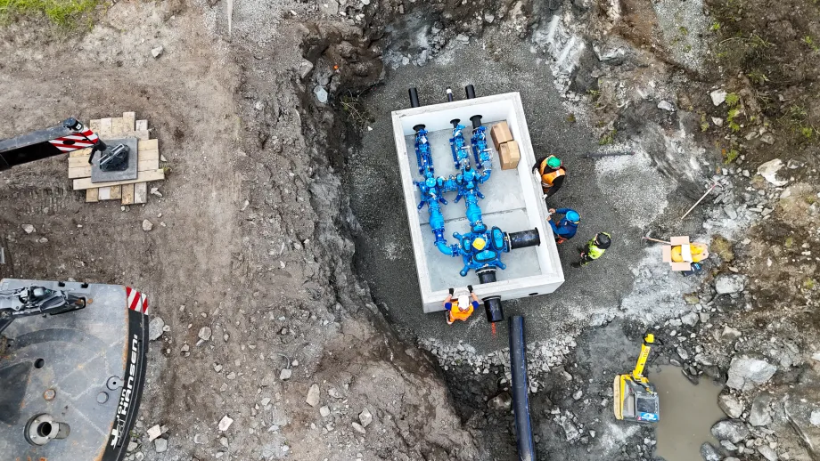 Oversiktsbilde av kum i gr&oslash;ft