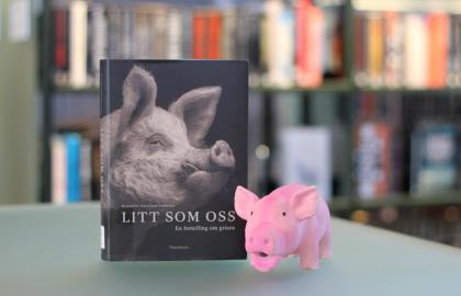 Ei bok står oppstilt med forsiden mot kamera. På forsiden er et bilde i sort og hvitt av en gris. Ved siden av boka står en rosa leketøysgris. Foto.