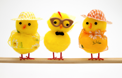 Tre kyllingfigurer er vendt mot kamera. Den til venstre har gul hatt, den i midten har briller og den til høyre har oransje hatt. Illustrasjon.