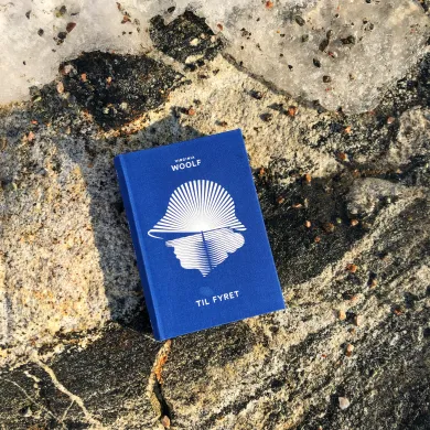 Ei bl&aring; bok med en hvit illustrasjon av et menneskehode med hatt. Boka ligger p&aring; et berg. Tittelen er "Til fyret". Foto.