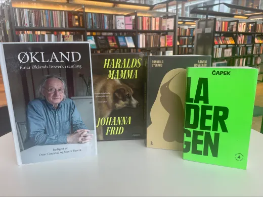 Fire b&oslash;ker st&aring;r oppstilt p&aring; et bord med forsidene vendt mot kamera. I bakgrunnen er det bokhyller. Foto.