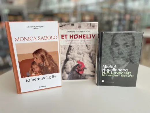 Under radaren, h&oslash;ns