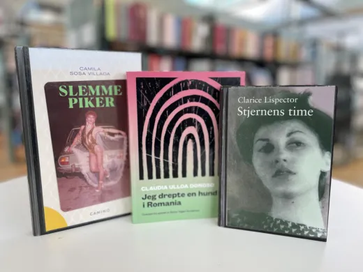 Les deg verden rundt, s&oslash;rlige amerika 2